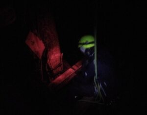 Eine Person beleuchtet mit rotem Licht einen Baumstamm mit Holz. Sie hat einen neongelben Helm auf.